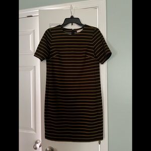 Ann Taylor Loft a line dress black and olive